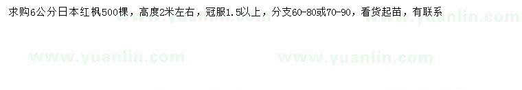 求購6公分日本紅楓