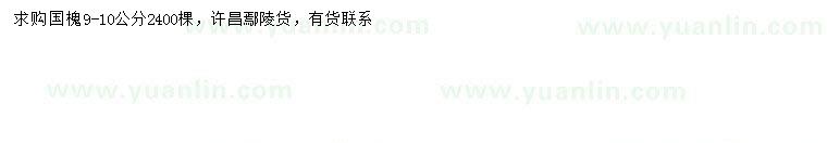 求購9-10公分國槐