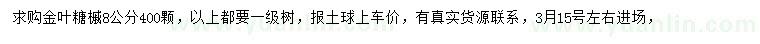 求購8公分金葉糖槭