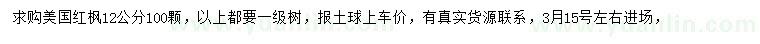 求購12公分美國紅楓