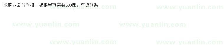 求購(gòu)8公分垂柳