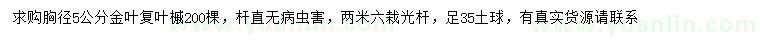 求購胸徑5公分金葉復(fù)葉槭