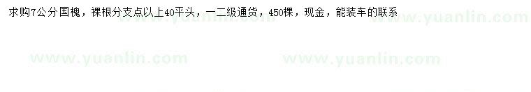 求購7公分國槐