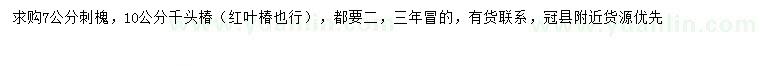 求購7公分刺槐、10公分千頭椿