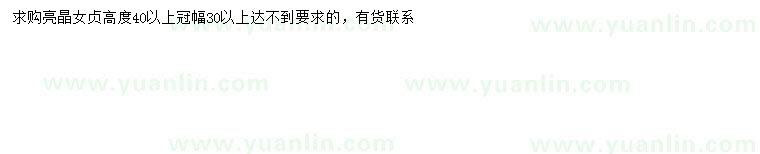 求購高40公分以上亮晶女貞