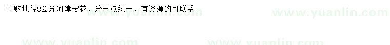 求購(gòu)地徑8公分河津櫻