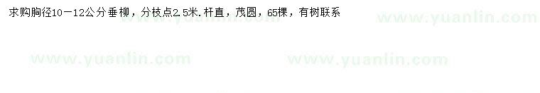求購(gòu)胸徑10-12公分垂柳