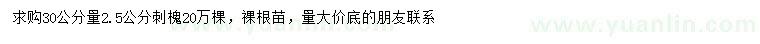 求購30量2.5公分刺槐