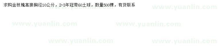 求購胸徑10公分高接金枝槐