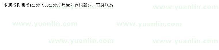 求購30量地徑4公分榆樹