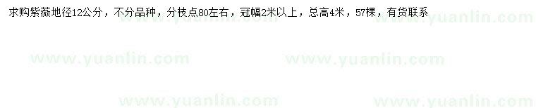求購地徑12公分紫薇