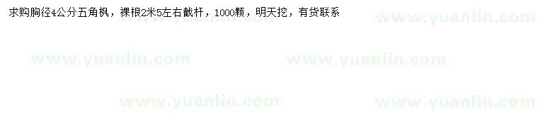 求購(gòu)胸徑4公分五角楓
