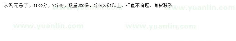 求購15公分無患子
