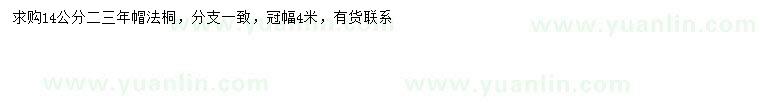 求購14公分法桐