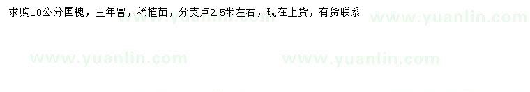 求購10公分國槐