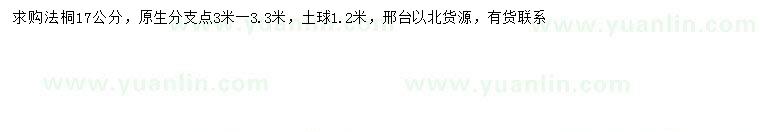 求購17公分法桐