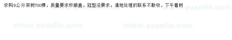求購9公分欒樹
