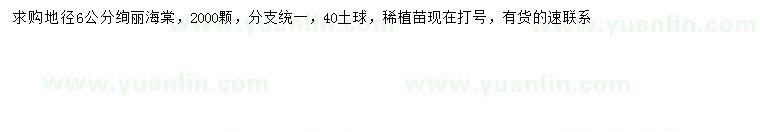求購地徑6公分絢麗海棠