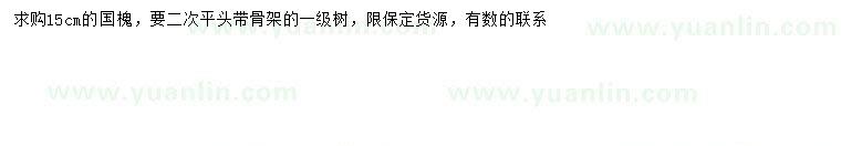 求購15公分國槐