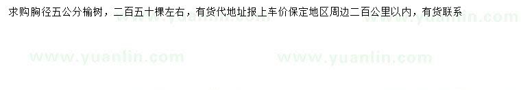 求購胸徑5公分榆樹