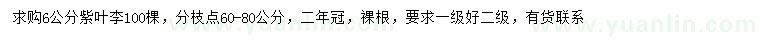 求購(gòu)6公分紫葉李