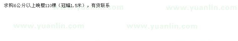 求購(gòu)6公分以上晚櫻