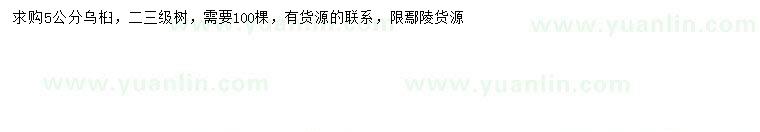 求購(gòu)5公分烏桕