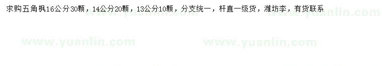求購13、14、16公分五角楓