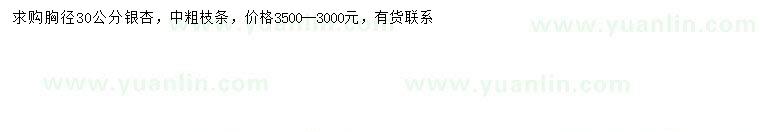 求購胸徑30公分銀杏