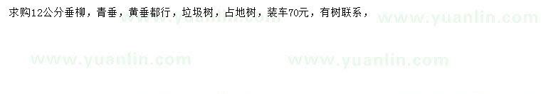 求購12公分垂柳