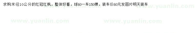 求購(gòu)米徑10公分紅冠紅楓