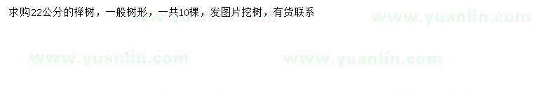 求購(gòu)22公分櫸樹