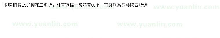 求購胸徑15公分櫻花