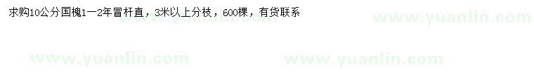 求購(gòu)10公分國(guó)槐