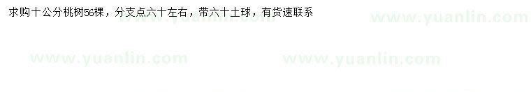 求購10公分桃樹