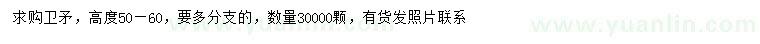 求購高50-60公分衛(wèi)矛