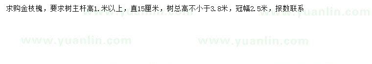 求購15公分金枝槐