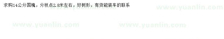 求購(gòu)14公分國(guó)槐