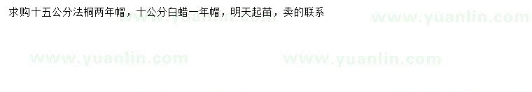 求購15公分法桐