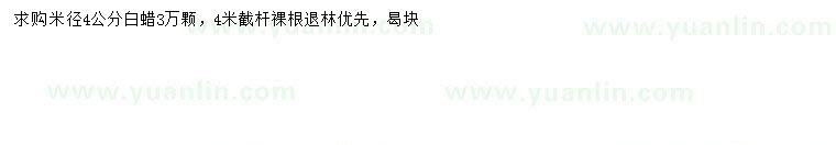 求購米徑4公分白蠟