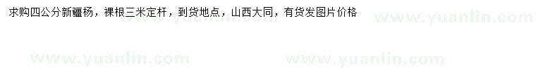 求購(gòu)4公分新疆楊