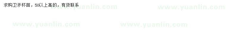 求購高50公分以上衛(wèi)矛