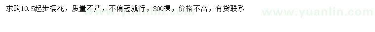 求購10.5公分以上櫻花