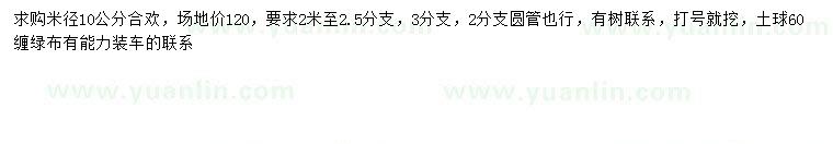 求購米徑10公分合歡