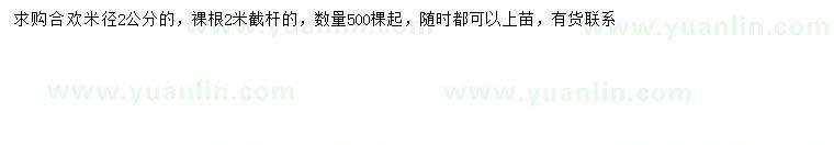 求購米徑2公分合歡