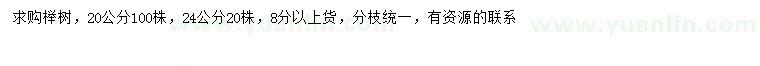 求購20、24公分櫸樹