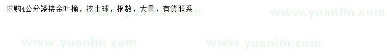 求購4公分金葉榆