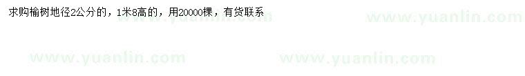求購地徑2公分榆樹(shù)