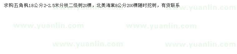 求購(gòu)18公分五角楓、8公分北美海棠