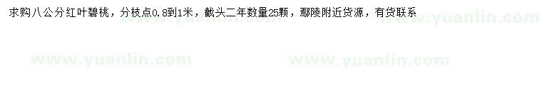 求購(gòu)8公分紅葉碧桃